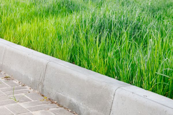 Cost of Concrete Curb Repair in Maryville