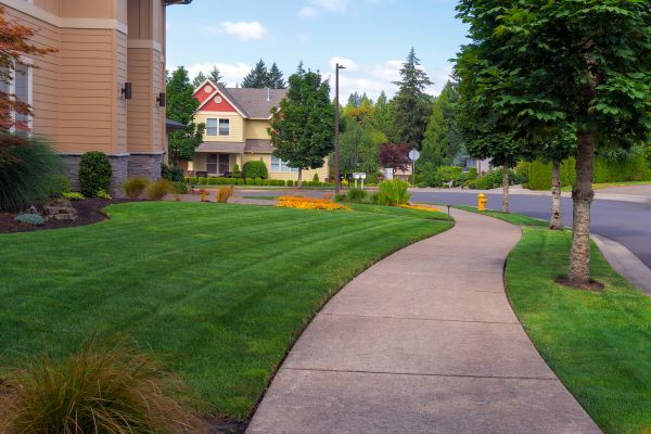 Cost of Sidewalk Patching in Maryville