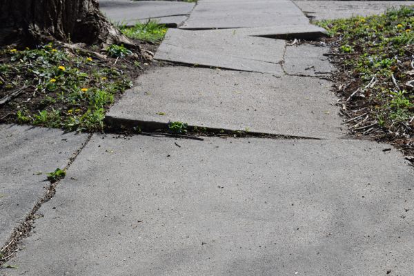 Cost of Trip Hazard Removal in Maryville